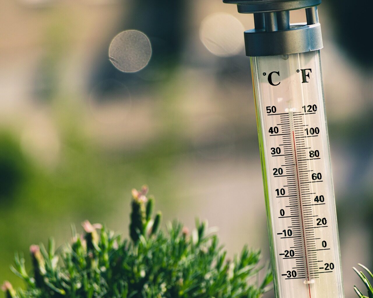 hot, nature, summer, celcius, fahrenheit, thermometer